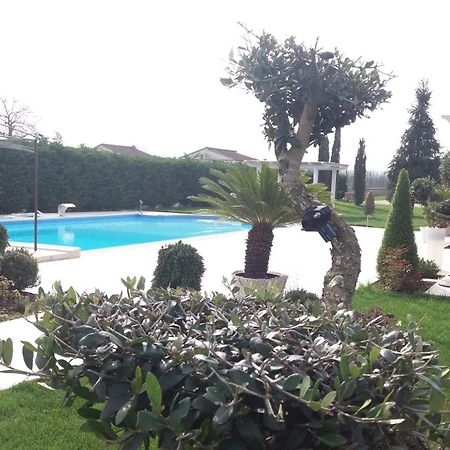 Agriturismo Sant' Isidoro Villa อานาญี ภายนอก รูปภาพ